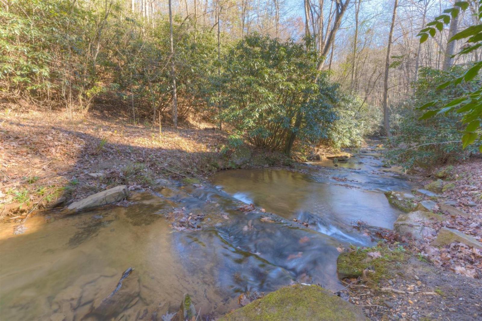 Rushing Waters - Creekside Cabin In North Ga Blue Ridge Eksteriør billede